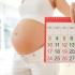 Как рассчитывают дату родов (ПДР) по сроку зачатия и последним месячным?